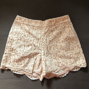 Blush lace high waisted shorts